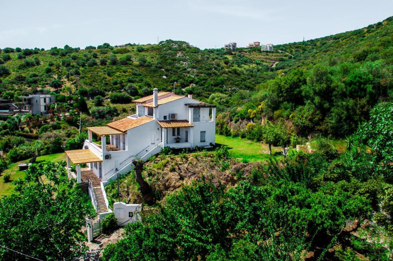 Von Sophia / The House